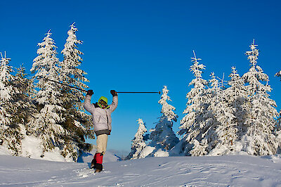 Tagesaktueller Schneebericht Bayerischer Wald